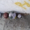 street art 070.JPG