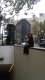 donuts and friends 189.JPG