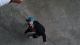 donuts and friends 196.JPG