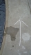 DSC02137.JPG