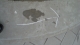 DSC02143.JPG