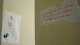 Fortune not cookie 467.JPG