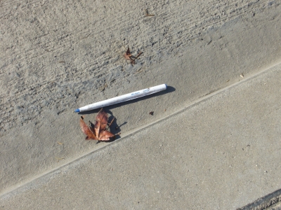 Pen 1