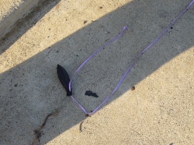 Dead Balloon