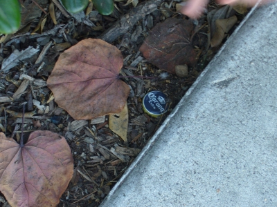 Bottle Cap