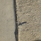 Tiny Sword