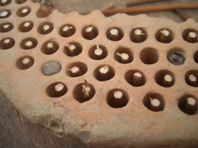 Stone Mold