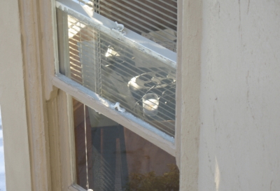 "Gin & Tonic cooking in the sun"