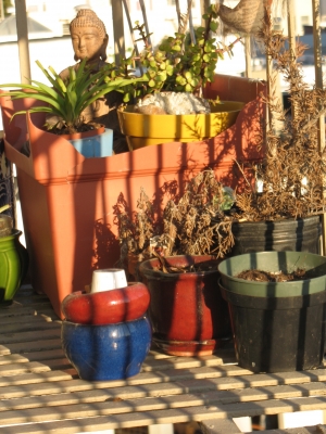 City Mouses' Amazonian Jungle