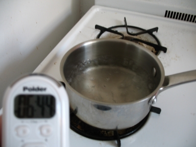 Once you hear boiling stop!  