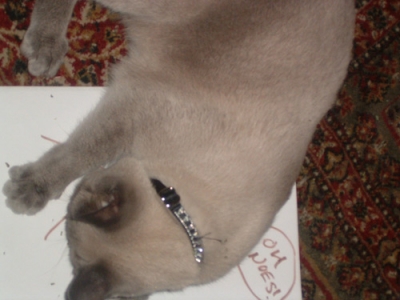 Die stick figure! Die!