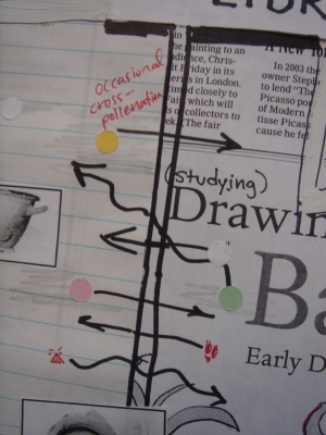 intellectual cross-pollenation