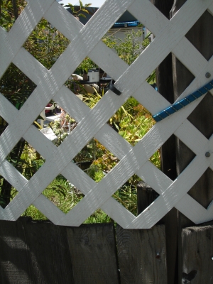 DSC04881.JPG