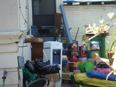 DSC04883.JPG