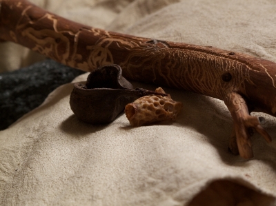 his favorite collection of Nature's curiosities...