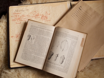 Personal Documentation and Reference