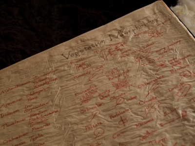 handwritten and drawn reference