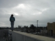 walking the line