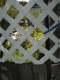 DSC04881.JPG