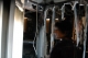 n11704648_32890269_4052.jpeg