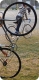 cyclephile