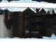 n1224415_41215037_481.jpeg