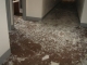 n1224415_41215035_9870.jpeg