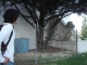 n1224415_41215042_2378.jpeg