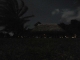 lights out