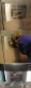 Eddie Murphy beckons from a mail slot