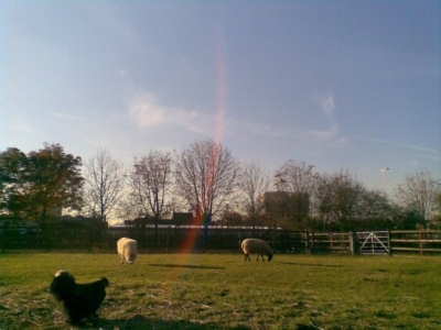 ... now I live round here