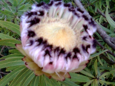 Image037.jpg