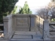 falco_view_390.jpg