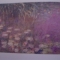 Section of Lillies by Monet