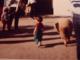 Picture 014.jpg