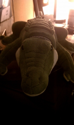 Alligator! Alligator!