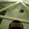Sheldon