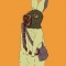 bunny.jpg