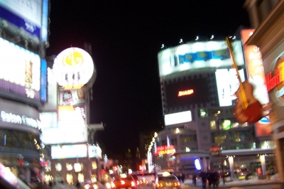 100_2230.jpg