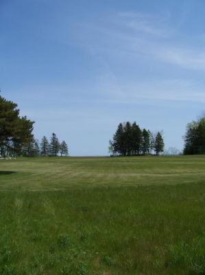 main_1004663599x799105496.jpg