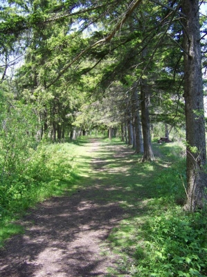 main_1004665599x799105498.jpg