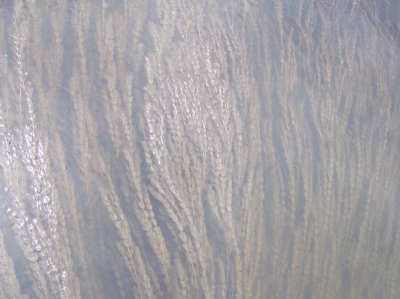 main_1004675799x599105502.jpg