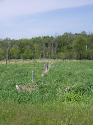 main_1004682599x799105506.jpg