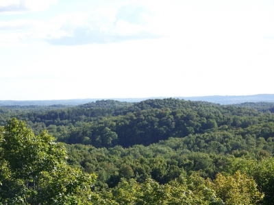 terrain