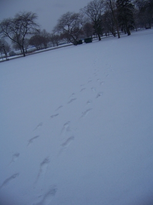 Footprints Footprints