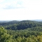 terrain