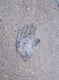 Rubber glove