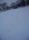 Footprints