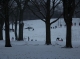 These kids are snowing