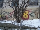 Graffito